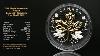 2020 Maple Leaves Motion $50 5oz Pure Silver Proof Coin Canada With Gold & Rhodium Canada Coin Silver